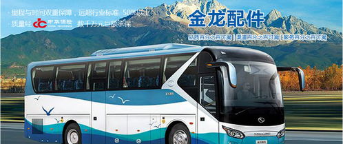 汽車(chē)火花塞市場(chǎng)分析 廠家、經(jīng)銷(xiāo)商、維修廠地址、價(jià)格及北邁網(wǎng)汽后通在小微型客車(chē)領(lǐng)域的應(yīng)用